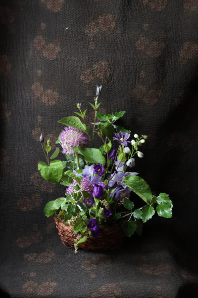 caption:standard / 紫＆緑