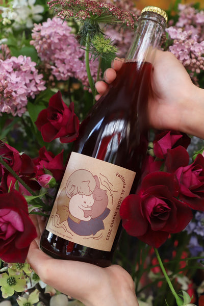 NECO series  momo 2025