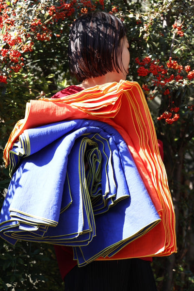 caption:autumn orange & delphinium blue