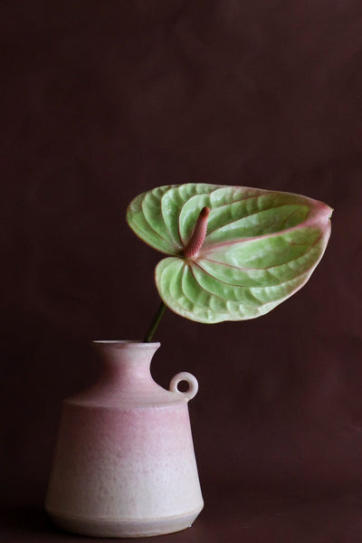 cloudypink vase