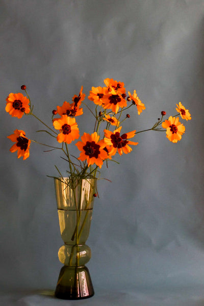 olive clear vase