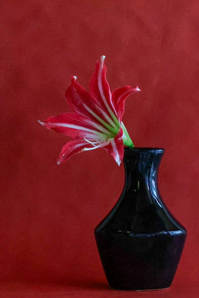 black bottle vase