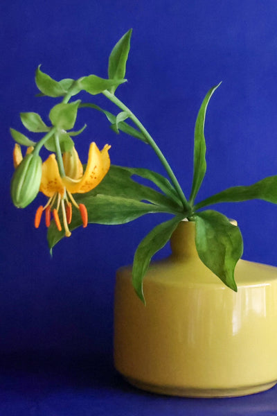 yellow wall vase