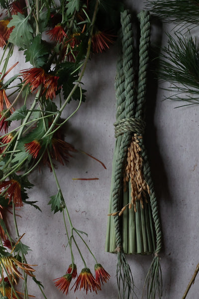 わらむ：No.9 南三寿