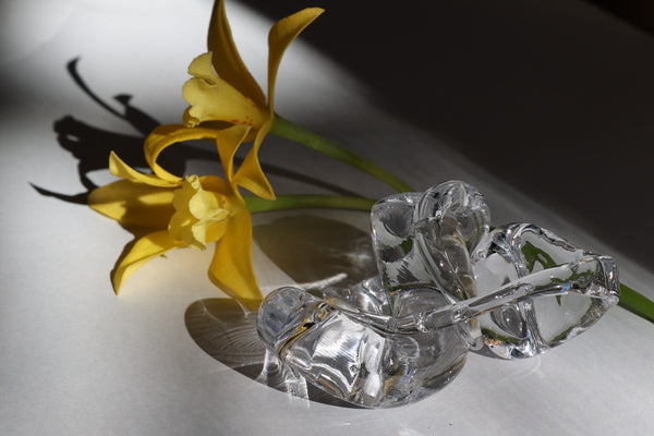 bon bon by Yoko Yamano [G]