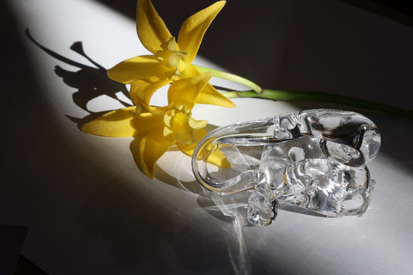 bon bon by Yoko Yamano [E]