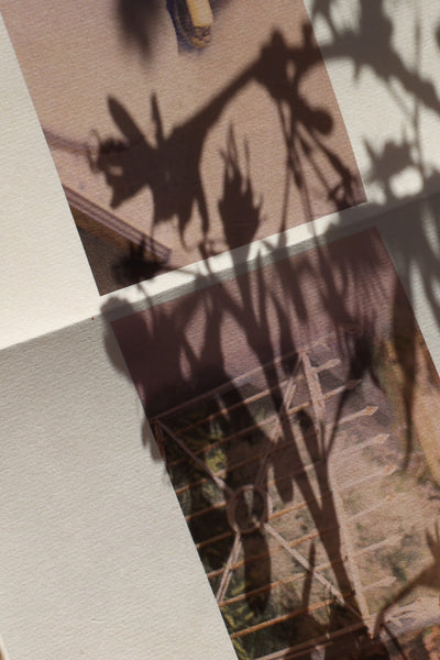 Sachiko Nagano: Carpe diem 今日の花をつむ