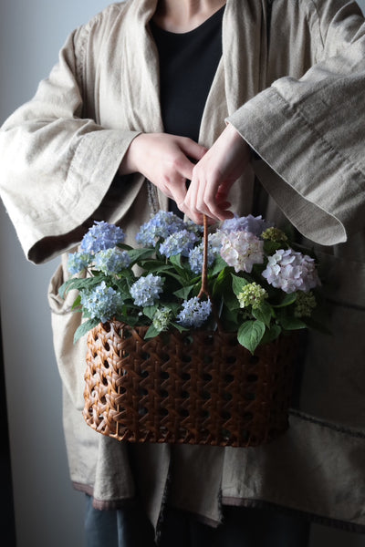 山紫陽花の苗籠