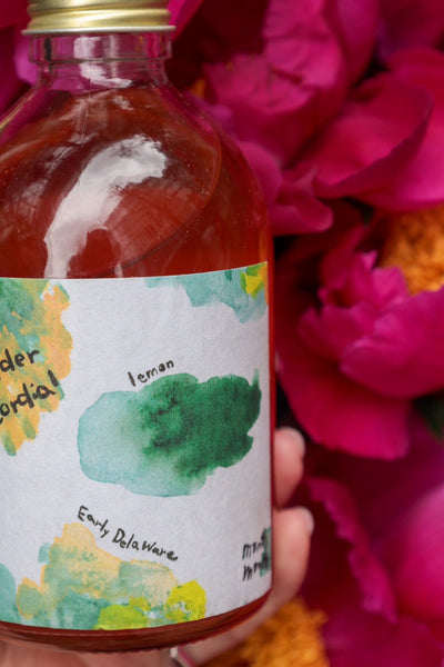 AL FIORE Elder cordial 2024 [month by month ノンアルコールシロップ]