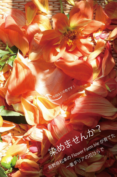 [10/23〆切] ボタニカルダイ：染めませんか？ [orange]